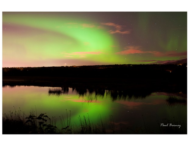 Aurora Potter Marsh